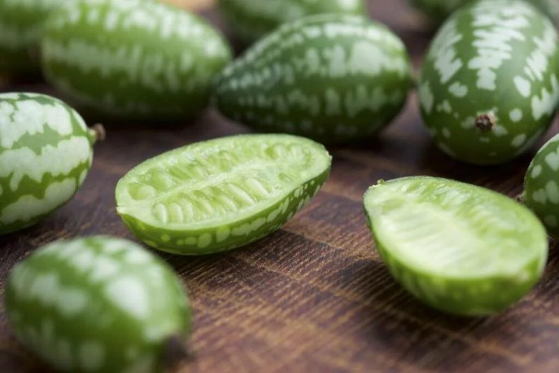 photo of rough melotria