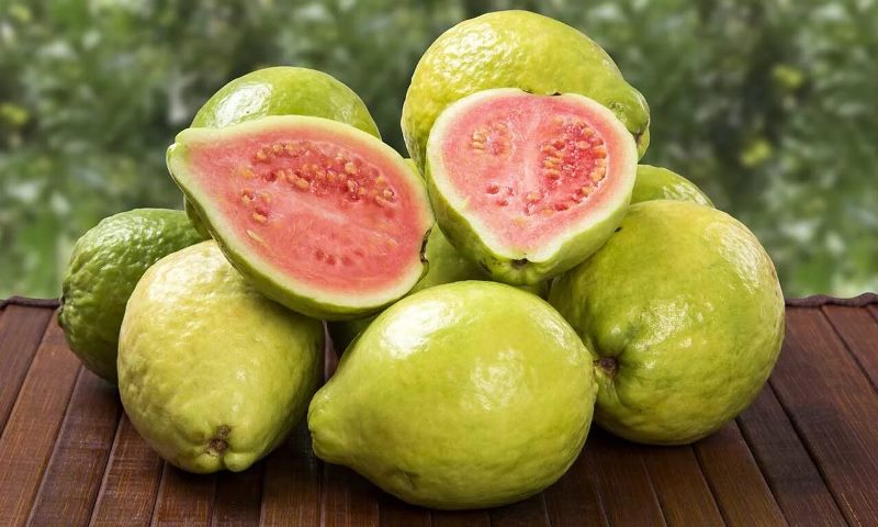 photo fruit guava