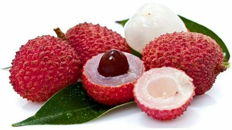 Chinese plum lychee photo