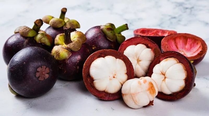 exotic fruit mangosteen