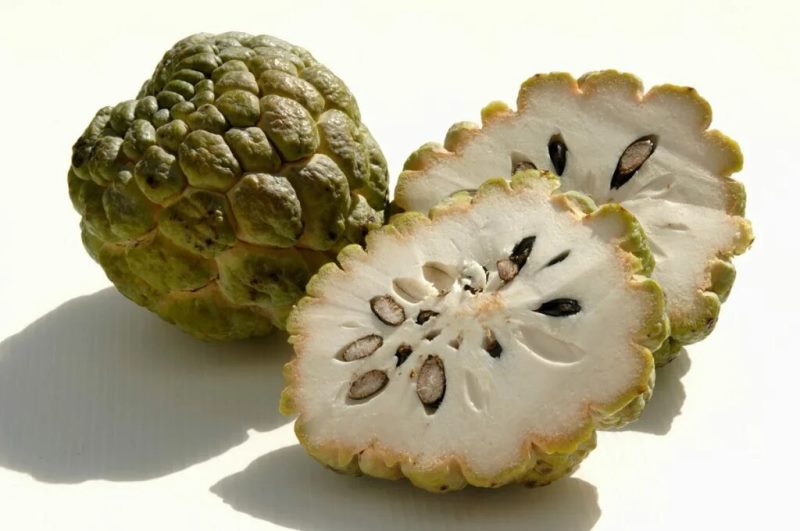 photo sugar apple noina