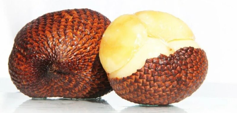 photo of herring or snake fruit