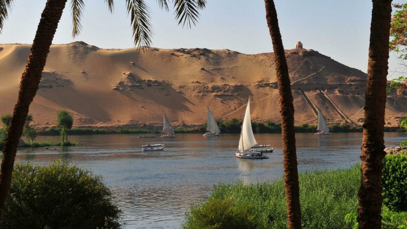 nile 2