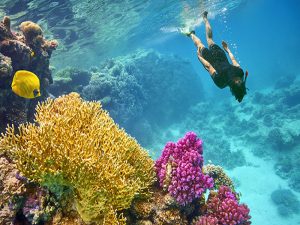 marsa alam resort egypt