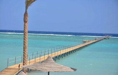 Тури в Марса Алам з Харкова