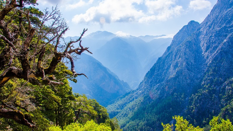 Самарийское ущелье, Крит