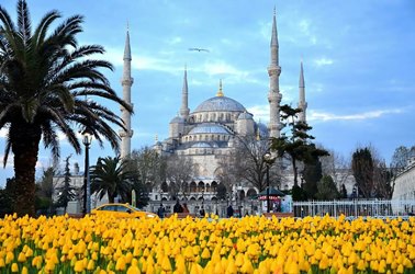 Tours to Istanbul from Rzeszow