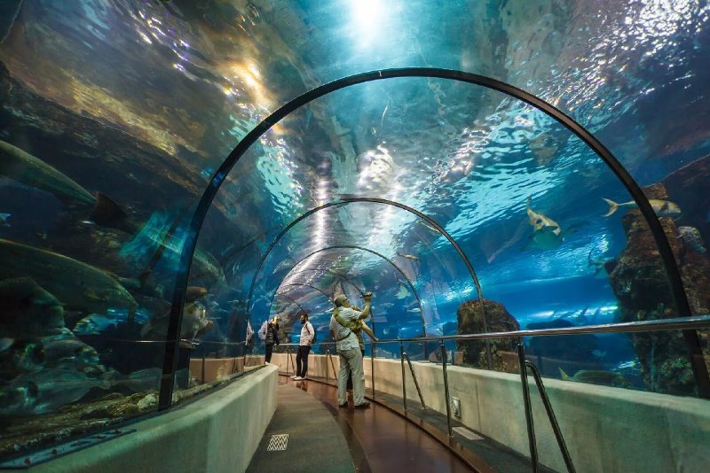 what to visit first - Barcelona Aquarium