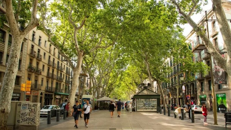 interesting places free photos - Rambla