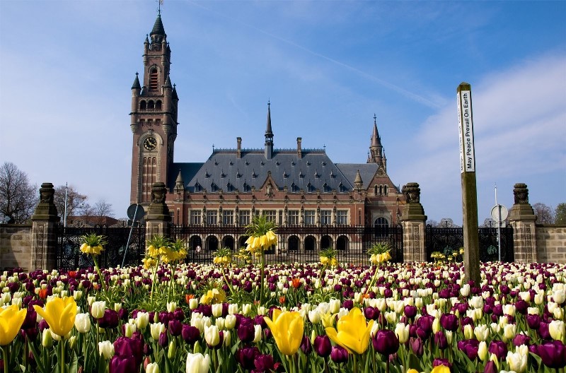 Peace Palace photos of attractions 