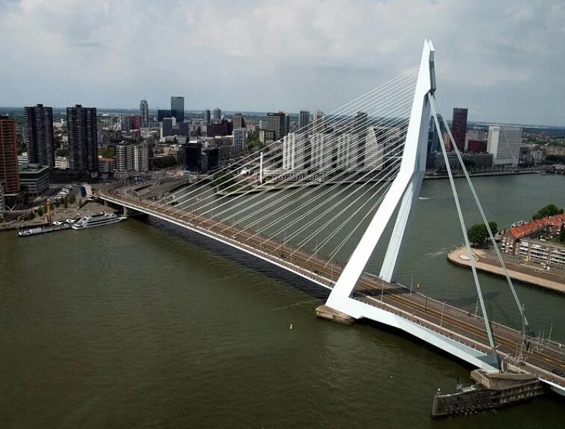 Что посмотреть в Роттердаме фото Мост Эразма